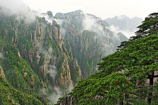 蓝精灵药淘宝暗语C1B8D97C5-18975